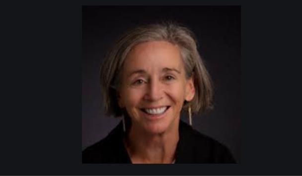 Judy Amabile, Democratic candidate for HD13